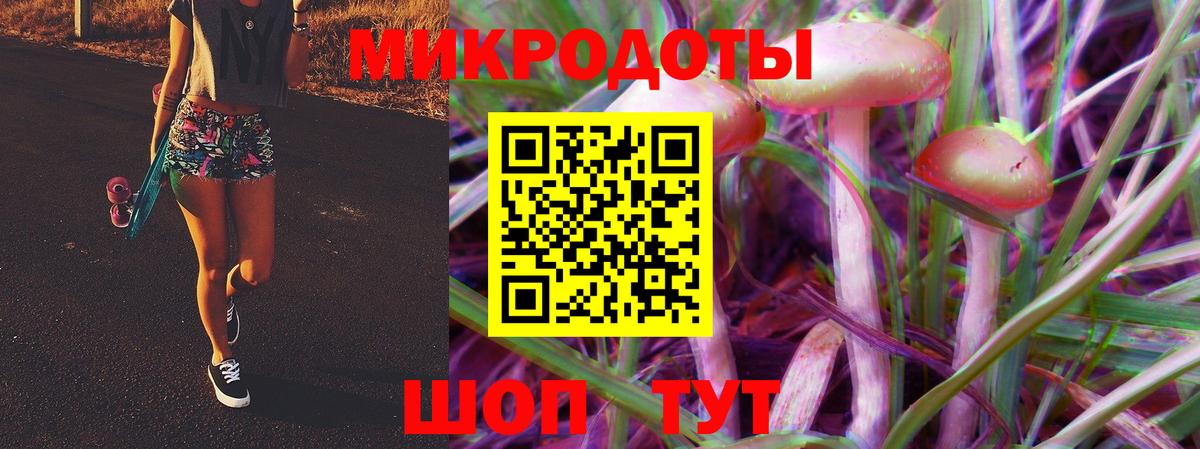 Галлюциногенные грибы GOLDEN TEACHER Туапсе